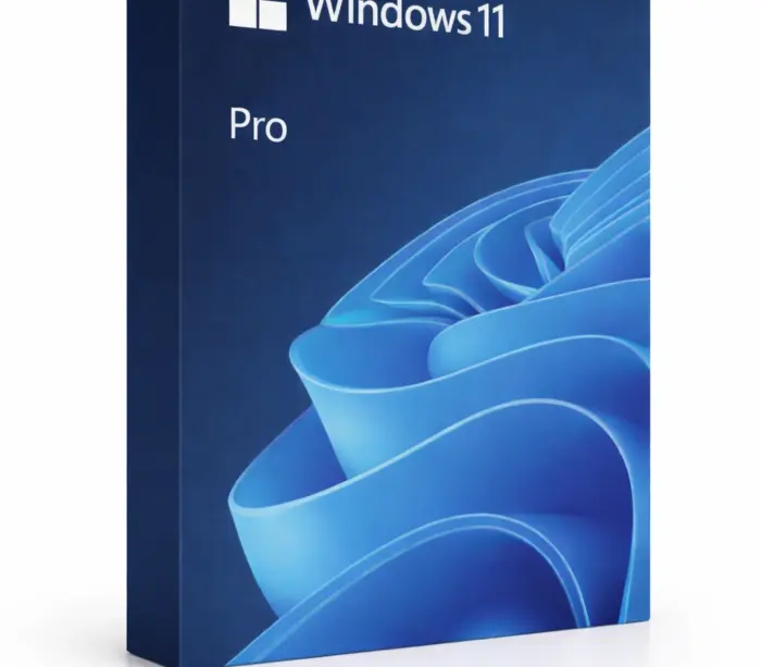 Windows 11 Professional