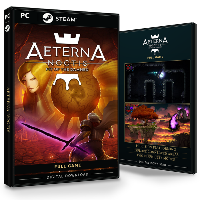 Forside og bakside for Aeterna Noctis til Steam, med to skjermbilder fra spillet.